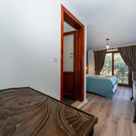4 Bdr With Swimming Pool In Kayakoy Villa